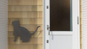 猫は室内飼いでも十分幸せに暮らせるにゃん🐈