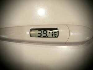 予防接種していたのに…まさかのインフルエンザ感染！そしてその後