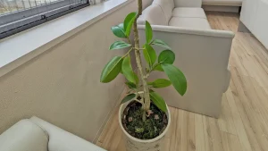 待合室の小さな発見でクリニックのホスピタリティが垣間見える