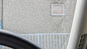 風情はないけど春を感じる…黄砂が家に入るのを防ぐ方法はある？