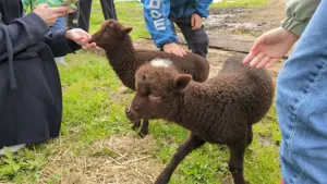近場で大満足！地域に根差した牧場めぐりで「いのち」について親子で考える